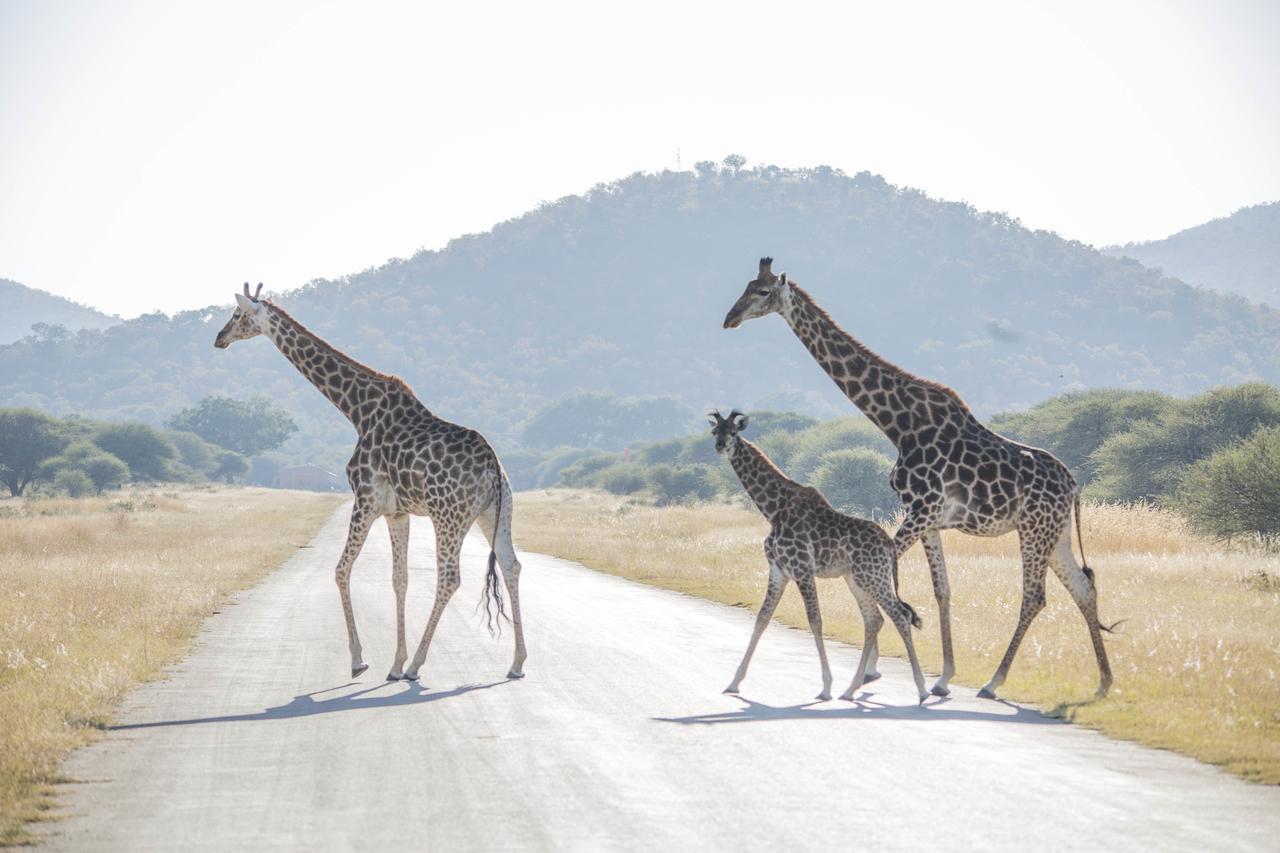 Phumelo Lodge เบอลา-เบอลา ภายนอก รูปภาพ